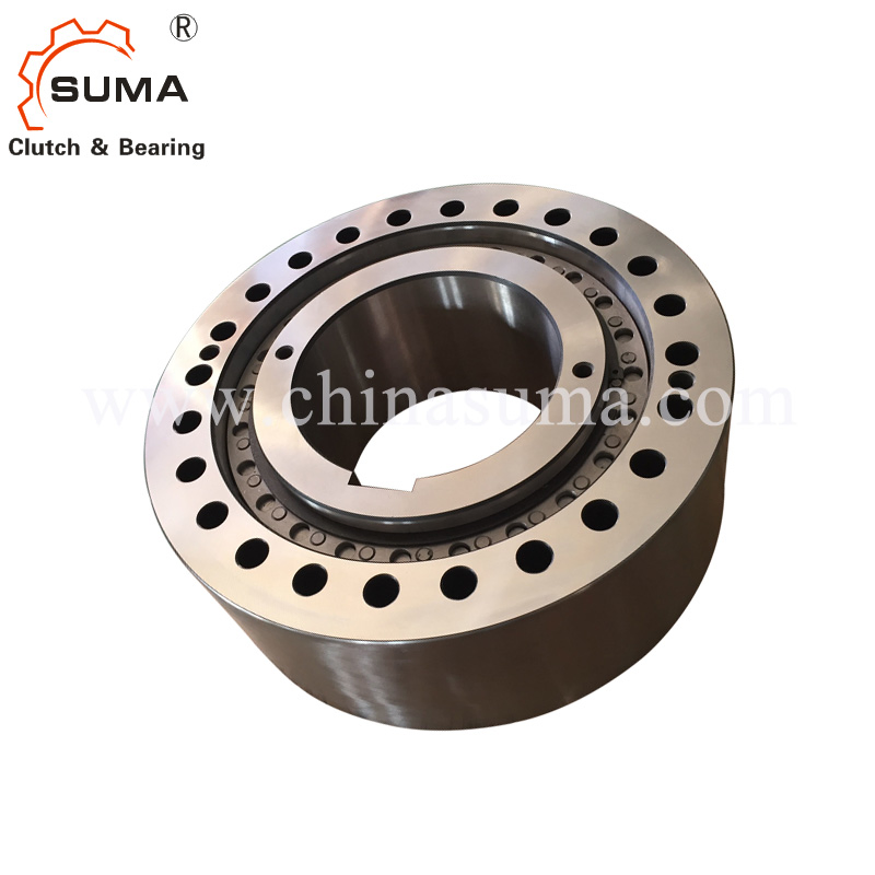 One Way Clutch Backstop (RSCI 20-130)