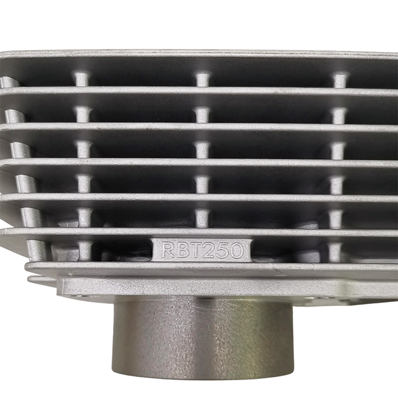 Цилиндр двигателя для мотоцикла Italika Vort-X 250