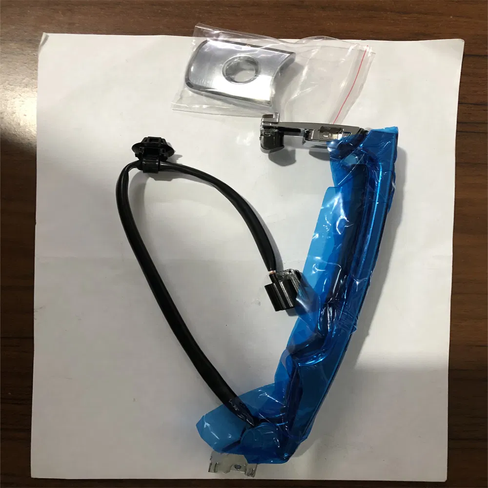 80640-CZ31b 80645-Ca000 Auto Door Handle for Nissan Murano Rogue 2010-2013