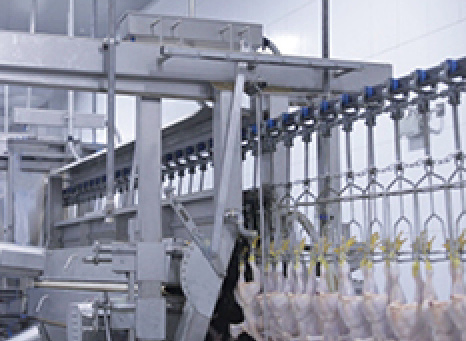 Автоматическое оборудование для убоя птицы Halal