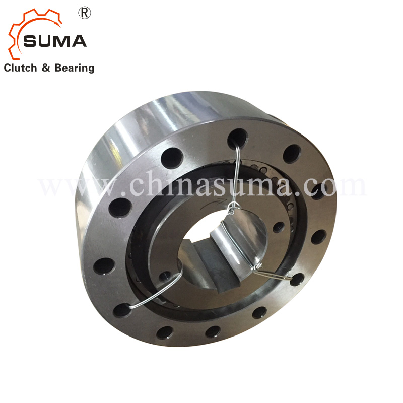 One Way Clutch Backstop (RSCI 20-130)