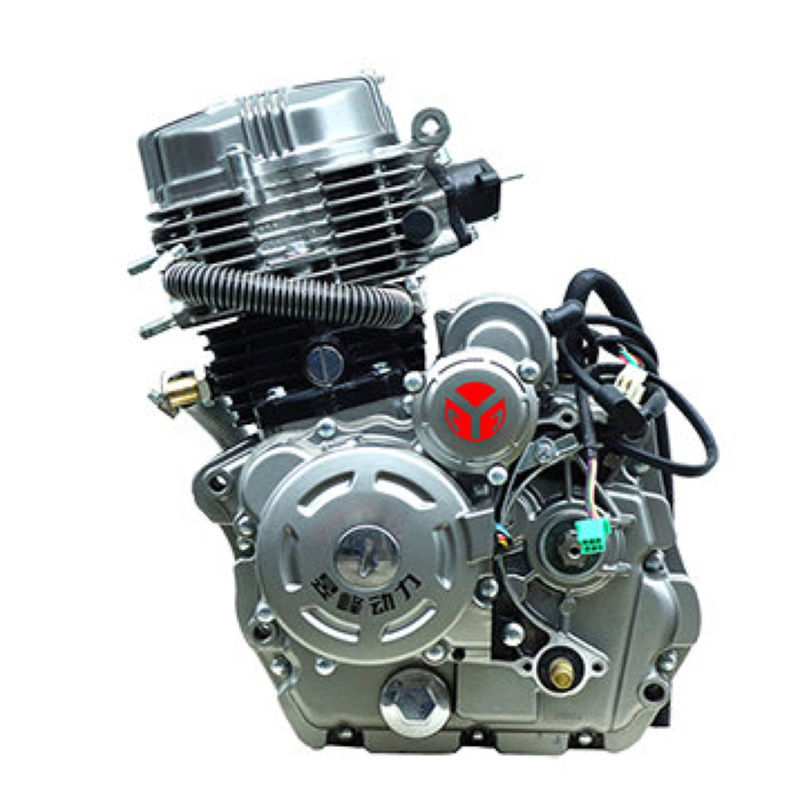 Low Center of Gravity Manual Clutch 246.3 Ml Vertical Water-Cooled Motorcycle Diesel Engine (YF162MJ F150BII)