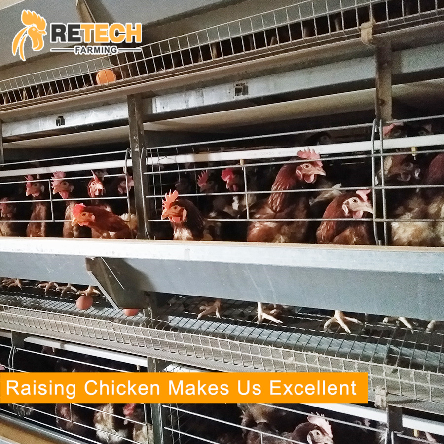 Автоматическая клеточная система H-типа для кур-несушек