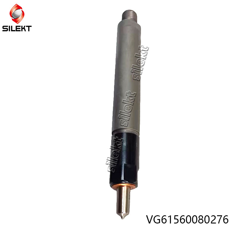 Fuel Injector Vg1560080276 61560080276 Weichai Euro II Truck Engine Parts Diesel Fuel Injector Wd615 Str Egr Common Rail Nozzle Piunger