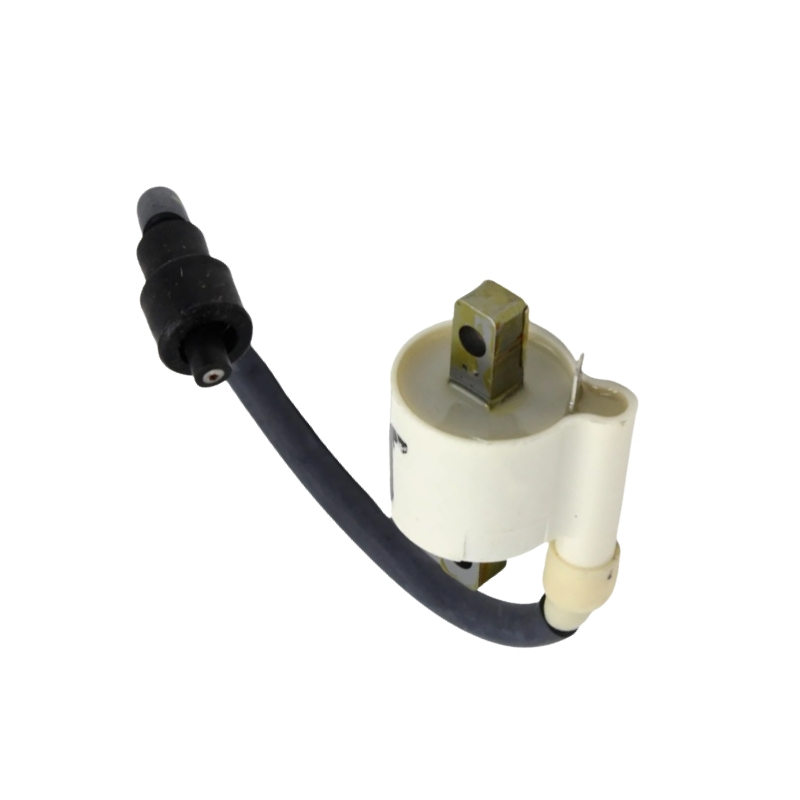 Катушка зажигания для Bajaj Pulsar 200NS/180