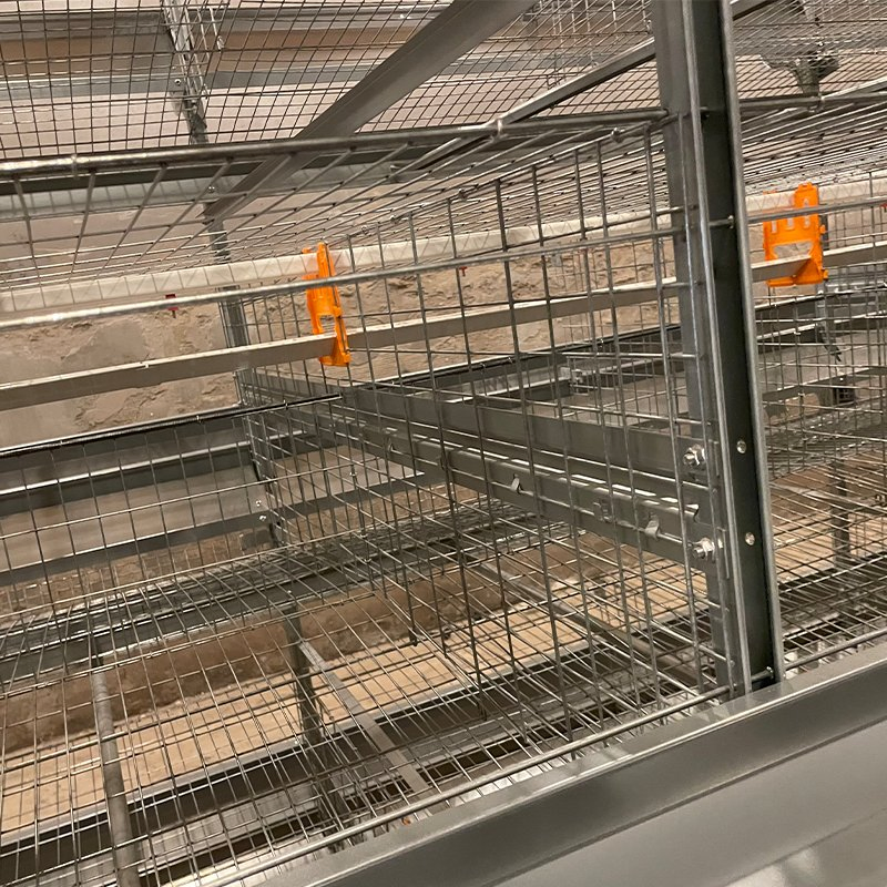 Клетка для кур-несушек автоматическая H-типа