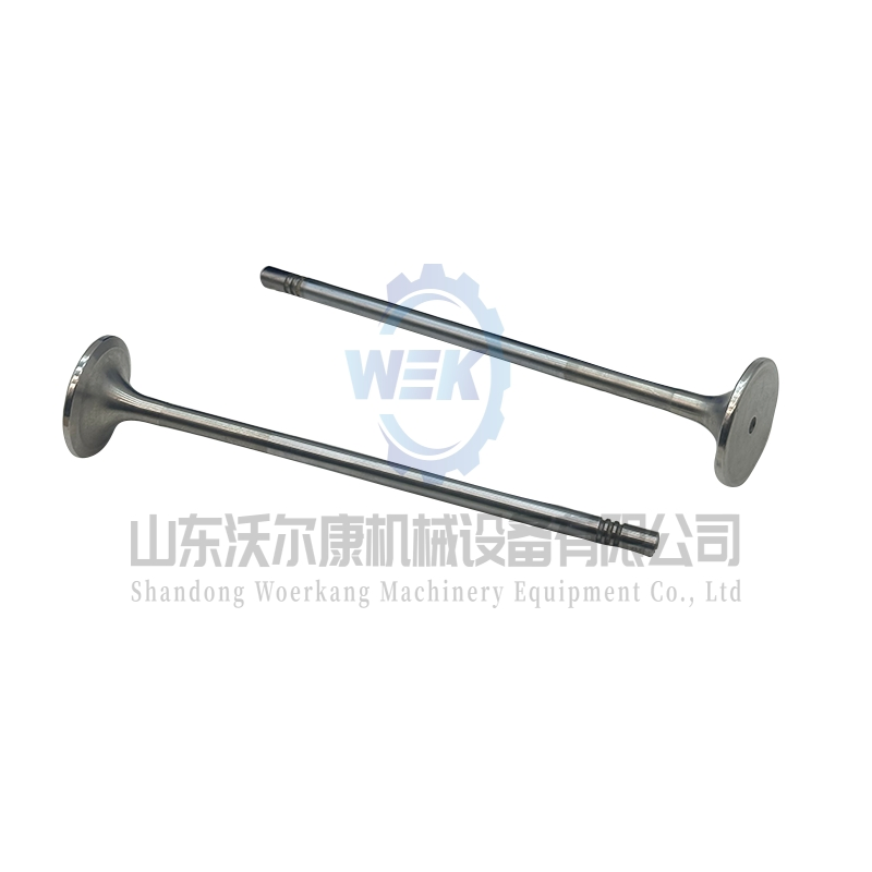 Впускной клапан двигателя 21016539 20768519 для Volvo D13, Tad1340ve