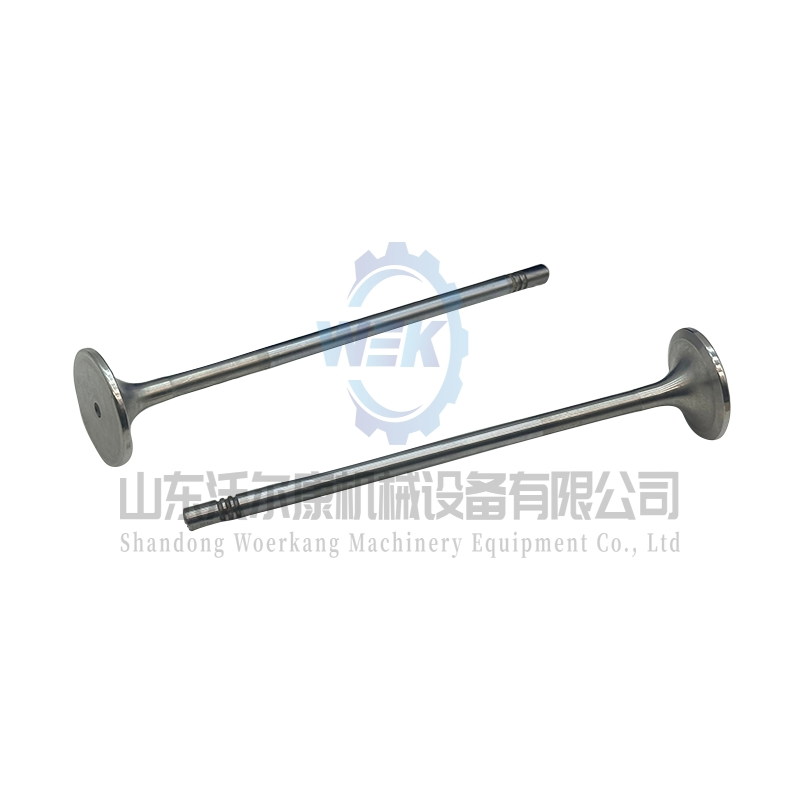 Впускной клапан двигателя 21016539 20768519 для Volvo D13, Tad1340ve