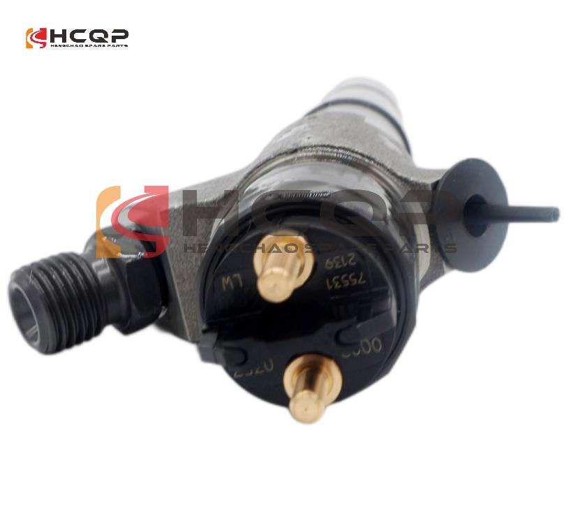 Топливная форсунка VG1034080002 для Sinotruck HOWO A7 D10