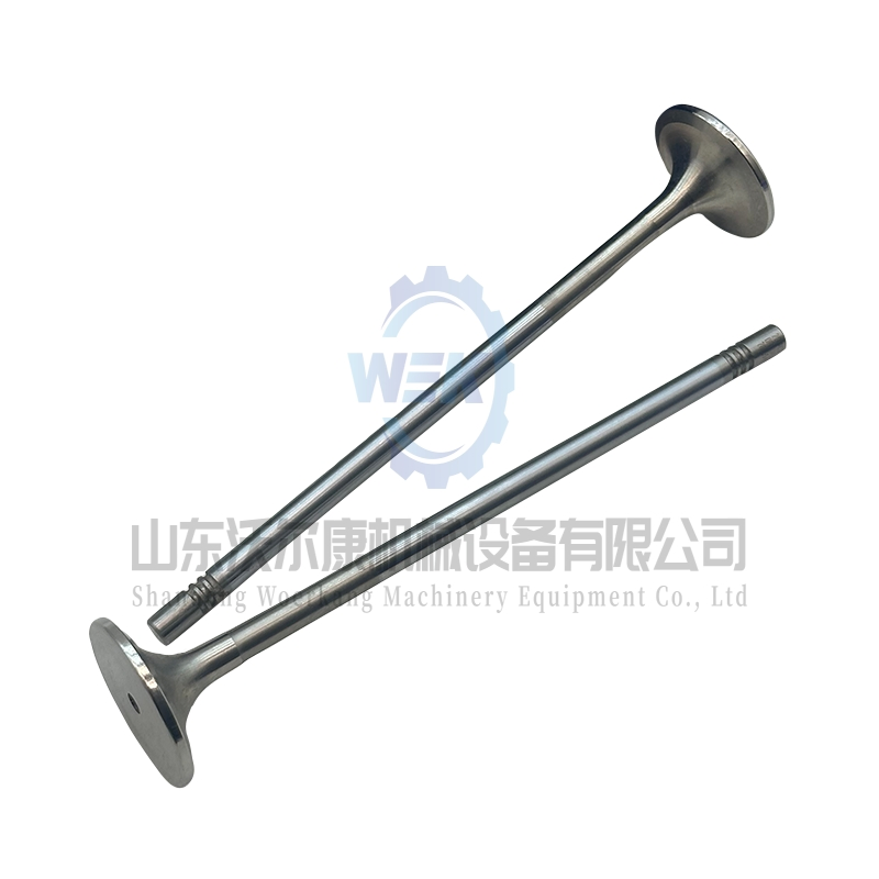 Впускной клапан для двигателей Volvo D13 и Tad1340ve