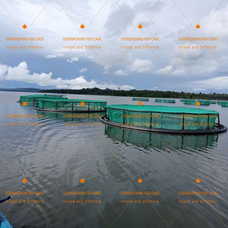 Плавучая садковая рыбоводческая клетка из HDPE