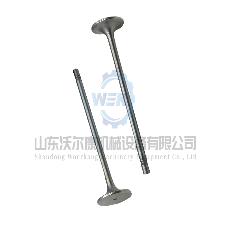 Впускной клапан двигателя 21016539 20768519 для Volvo D13, Tad1340ve