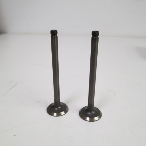 Выпускной и впускной клапан Cummins 32012412 32012413